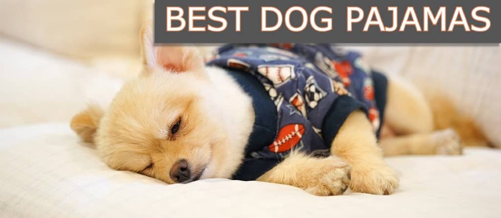 Dog-Pajamas