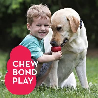 safe dog chews