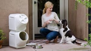 Best Dog Products For A New Dog Owner