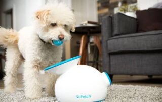 Best Pet Technology Products
