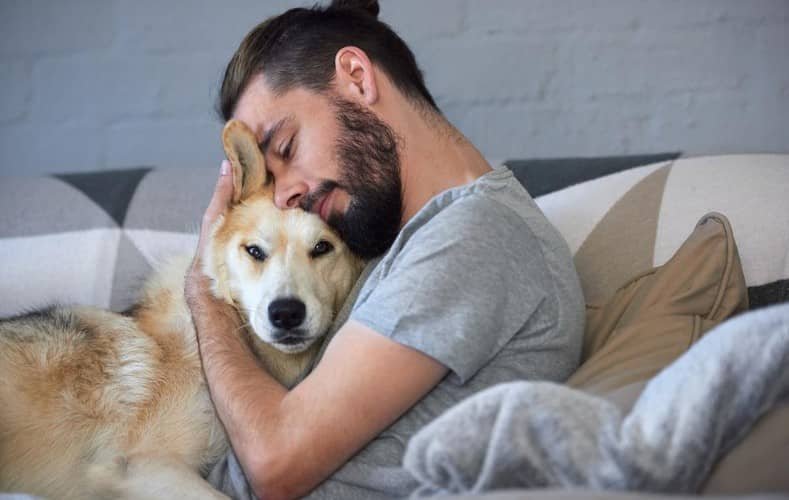 Ways to Show Your Dog Affection