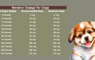 Benadryl Dosage for Dogs